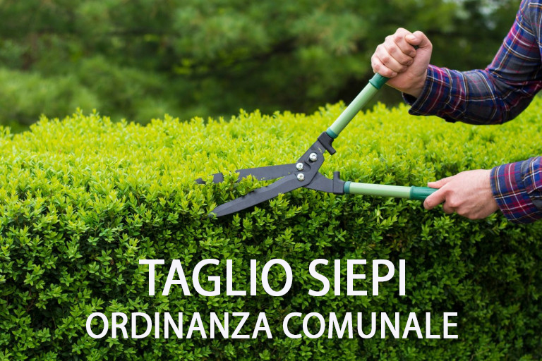 Taglio siepi e rami nelle fasce di rispetto e misure di sicurezza, igiene e incolumità pubblica.