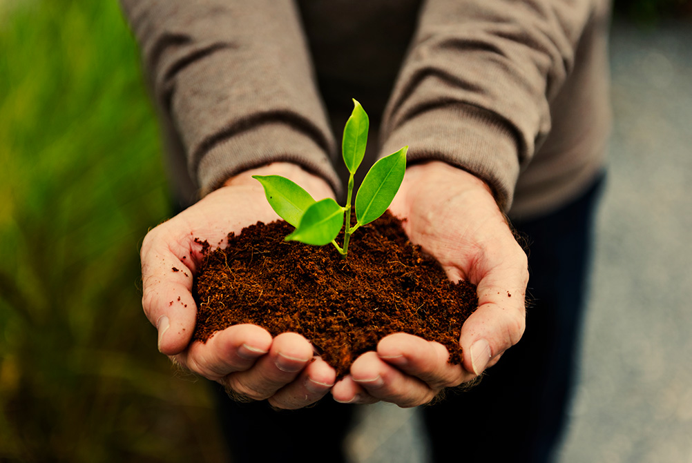 Disponibilità di ammendante per agricoltura
